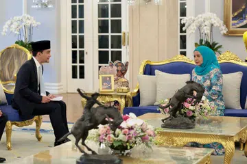 Bangsa Johor, program, diperluas