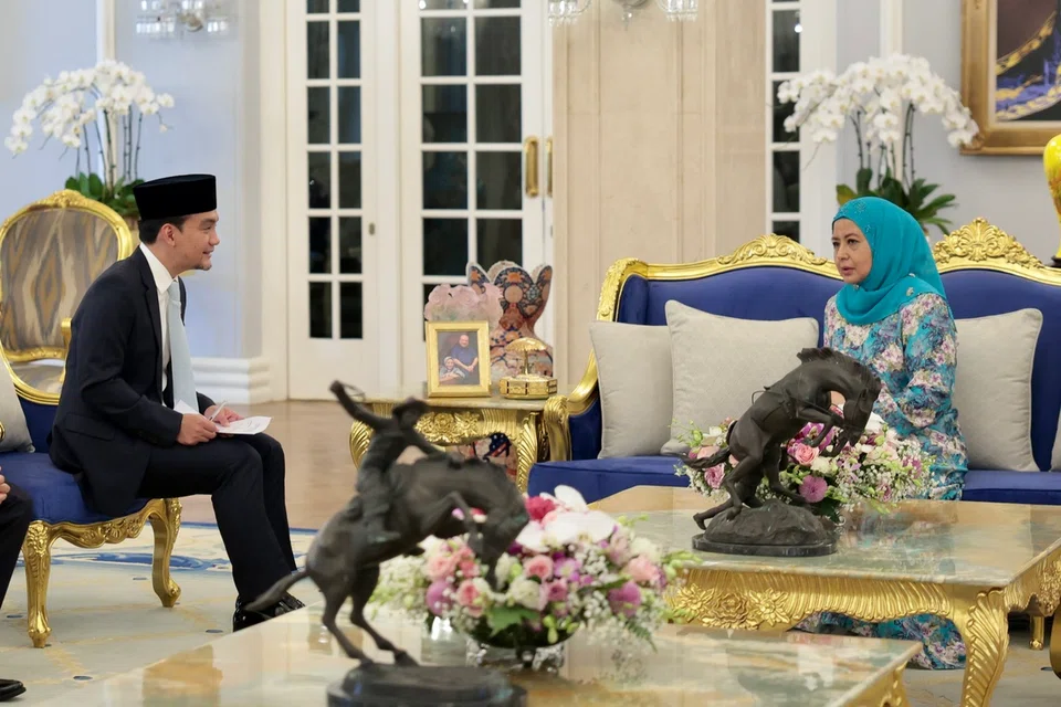 Bangsa Johor, program, diperluas