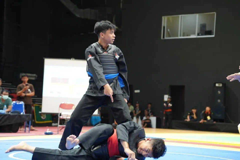 Ahmad Hanin Abdul Rahim, silat