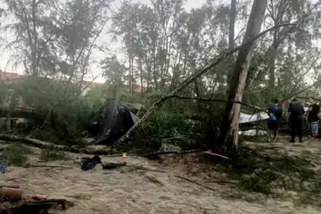 Seorang lelaki warga emas maut, manakala cucunya cedera dihempap pokok tumbang ketika berkhemah di kawasan perkhemahan Pantai Balok, dekat Beserah, Pahang. 