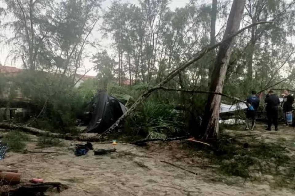 Seorang lelaki warga emas maut, manakala cucunya cedera dihempap pokok tumbang ketika berkhemah di kawasan perkhemahan Pantai Balok, dekat Beserah, Pahang. 