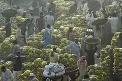 PERTINGKAT EKONOMI, RAKYAT: Pedagang sibuk di sebuah pasar buah-buahan di Lahore, Pakistan, awal pagi 8 November. Dalam memajukan lagi Pakistan, Perdana Menteri Imran Khan bukan sahaja gigih meningkatkan pencapaian ekonomi, malah keupayaan rakyat, khususnya generasi muda. - Foto-foto AFP, REUTERS 