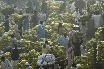 PERTINGKAT EKONOMI, RAKYAT: Pedagang sibuk di sebuah pasar buah-buahan di Lahore, Pakistan, awal pagi 8 November. Dalam memajukan lagi Pakistan, Perdana Menteri Imran Khan bukan sahaja gigih meningkatkan pencapaian ekonomi, malah keupayaan rakyat, khususnya generasi muda. - Foto-foto AFP, REUTERS 