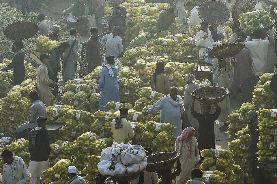 PERTINGKAT EKONOMI, RAKYAT: Pedagang sibuk di sebuah pasar buah-buahan di Lahore, Pakistan, awal pagi 8 November. Dalam memajukan lagi Pakistan, Perdana Menteri Imran Khan bukan sahaja gigih meningkatkan pencapaian ekonomi, malah keupayaan rakyat, khususnya generasi muda. - Foto-foto AFP, REUTERS 