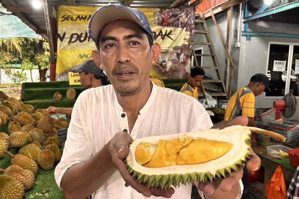 musim durian, pekebun Johor, pelawat S’pura