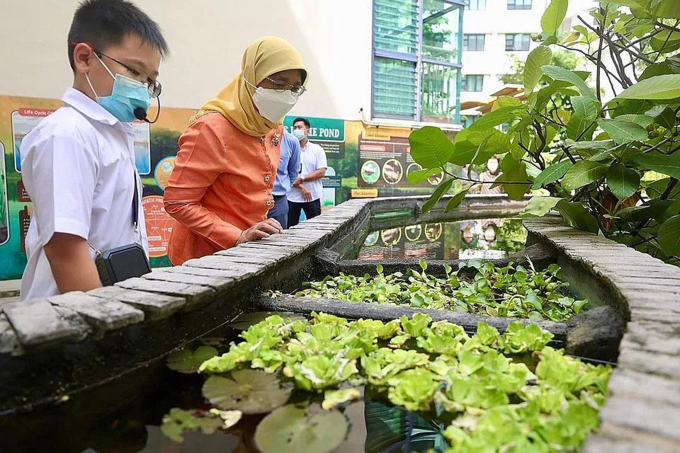 PERSEKITARAN MESRA ALAM: Presiden Halimah Yacob meninjau kawasan-kawasan eko sekitar Sekolah Mee Toh sewaktu lawatannya termasuk ke kolam eko yang menempatkan pelbagai tumbuh-tumbuhan air. - Foto FACEBOOK/HALIMAH YACOB