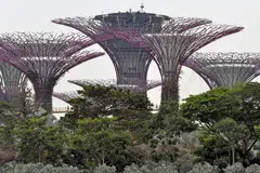 TAMAN DI PESISIRAN