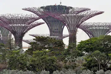 TAMAN DI PESISIRAN
