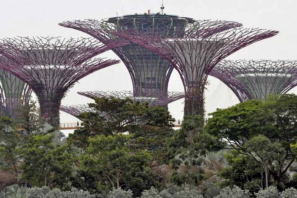 TAMAN DI PESISIRAN