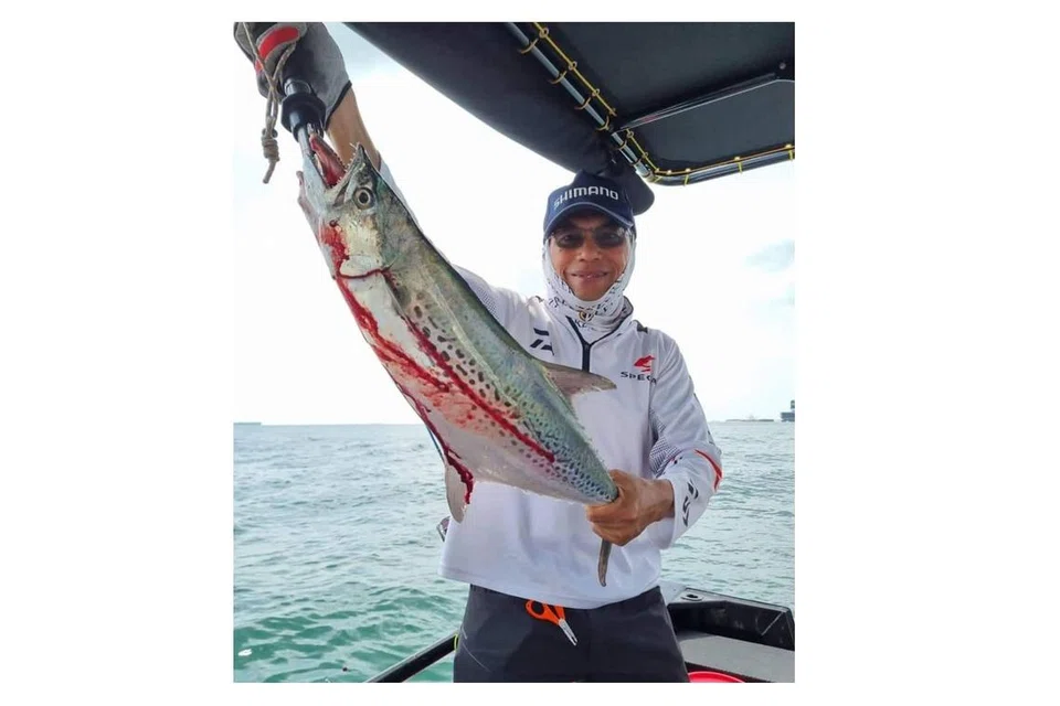 TENGGIRI!: (bawah) Seorang pelanggan berjaya menangkap ikan tenggiri ketika memancing daripada bot Get Hooked SG yang membawanya ke tengah lautan berdekatan Tuas. 