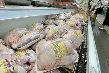 KEMBALI DIJUAL: Ayam segar dari Malaysia mula dijual di beberapa pasar raya, seperti FairPrice Xtra di pusat beli-belah Nex, semalam. - Foto BH oleh DESMOND FOO