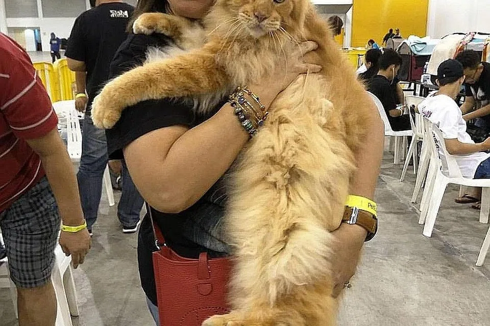 Foto ihsan ERAWATY BERNAMA