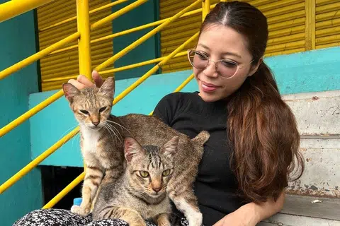 Daripada menggunakan wang simpanannya untuk melancong ke Istanbul seperti yang dirancang, Cik Nur Amira Jumali, menggunakannya untuk membina tempat perlindungan untuk kucing jalanan di Johor Bahru. 
