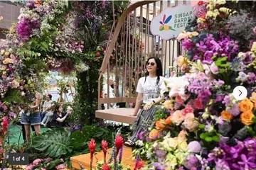 Pesta Taman Singapura, Singapore Garden Festival, Takashimaya Square, Guinness World Record, Most Flower on a Swing, NParks