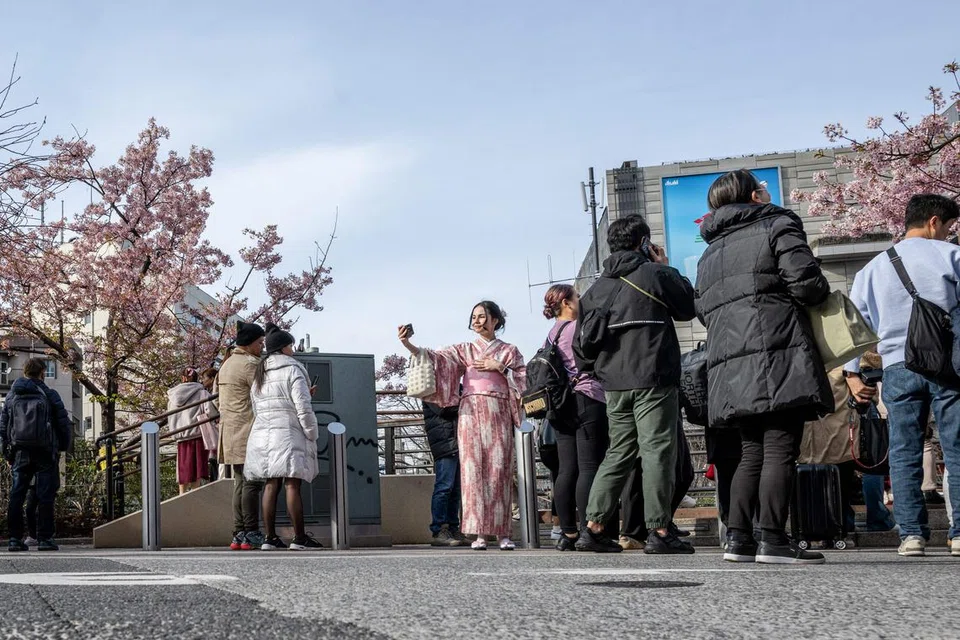 Orang ramai bergambar dengan pokok bunga sakura Kawazu di daerah Sumida Tokyo, Jepun, pada 11 Mac.