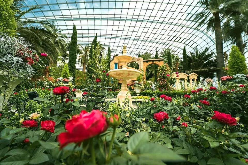 - Foto GARDENS BY THE BAY