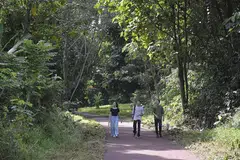 SAMBUNGAN SEPANJANG KORIDOR REL: Penambahbaikan hampir enam kilometer antara Stesen MRT Kranji dan Stesen MRT Hillview melengkapkan sambungan berterusan sepanjang 21 kilometer di sepanjang Koridor Rel. - Foto NPARKS 