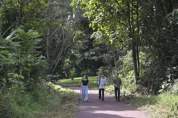 SAMBUNGAN SEPANJANG KORIDOR REL: Penambahbaikan hampir enam kilometer antara Stesen MRT Kranji dan Stesen MRT Hillview melengkapkan sambungan berterusan sepanjang 21 kilometer di sepanjang Koridor Rel. - Foto NPARKS 