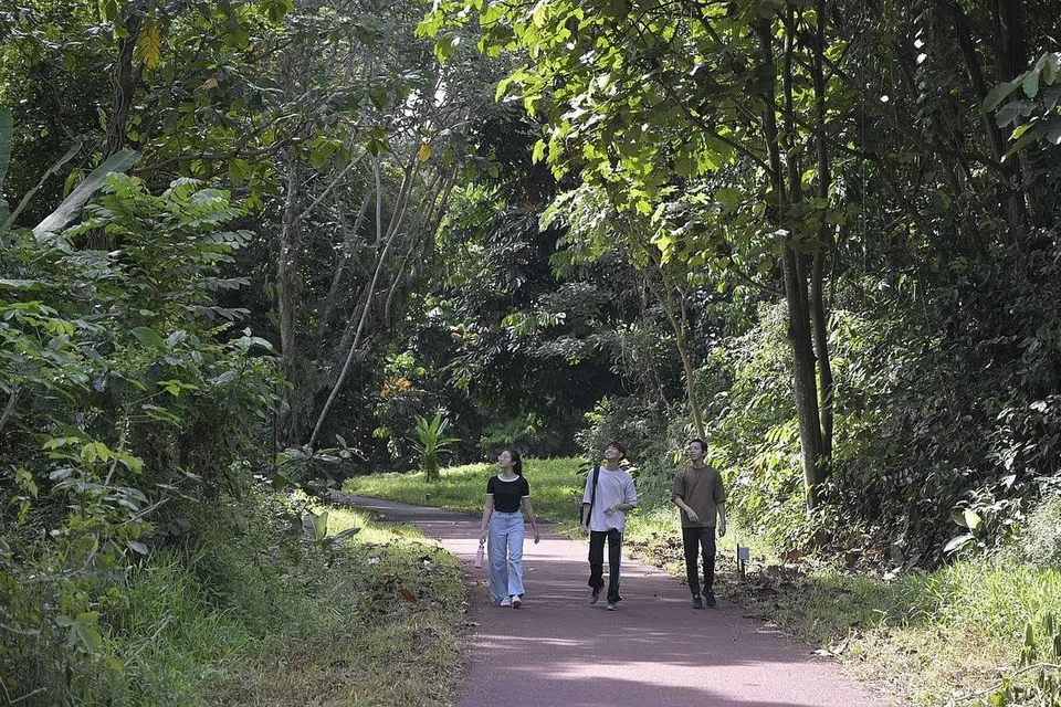 SAMBUNGAN SEPANJANG KORIDOR REL: Penambahbaikan hampir enam kilometer antara Stesen MRT Kranji dan Stesen MRT Hillview melengkapkan sambungan berterusan sepanjang 21 kilometer di sepanjang Koridor Rel. - Foto NPARKS 