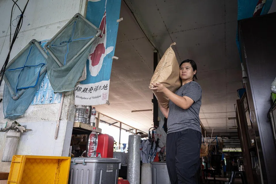 TUNTUTAN FIZIKAL: Cik Hillary Lee memikul beg makanan ikan seberat 15 kilogram di bahunya selepas membungkusnya untuk pesanan dalam talian.