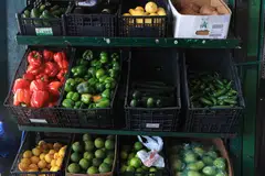 Buah-buahan dan sayur-sayuran tersusun dalam bakul di sebuah kedai di Miami, Florida, Amerika Syarikat. 