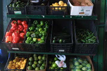 Buah-buahan dan sayur-sayuran tersusun dalam bakul di sebuah kedai di Miami, Florida, Amerika Syarikat. 