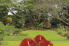 Merah Saga di Bukit Merah