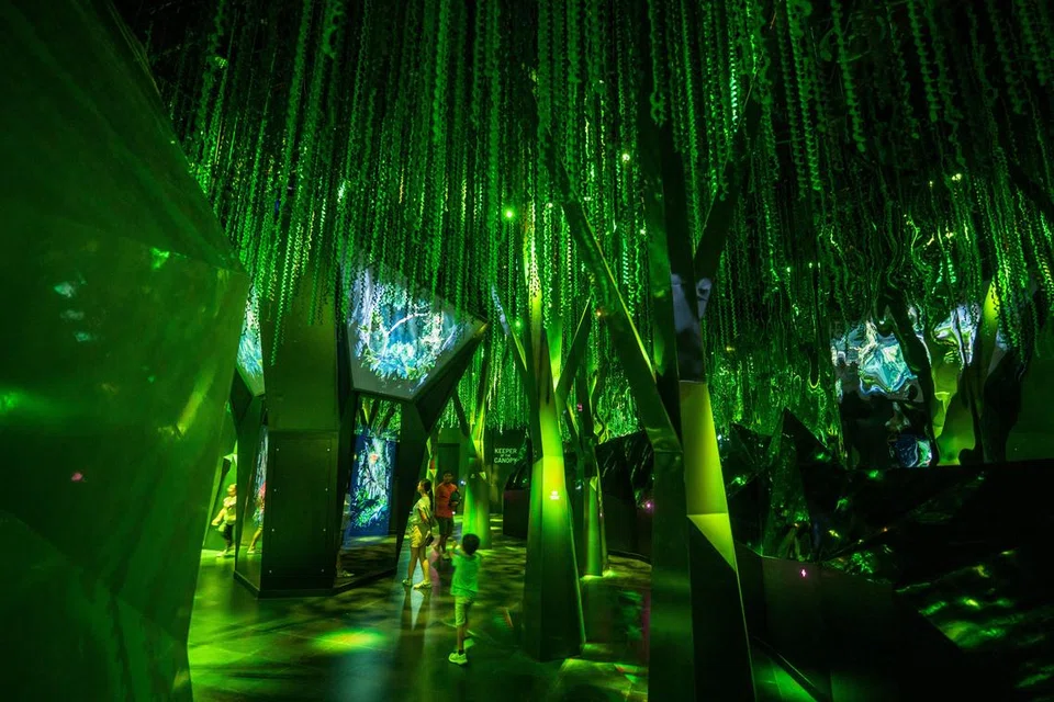 Dedaunan yang terjuntai menyerupai kanopi hutan hujan di 'Infinite Wonderland’, di mana pengunjung berjalan-jalan dalam kalangan rimbun tumbuh-tumbuhan.