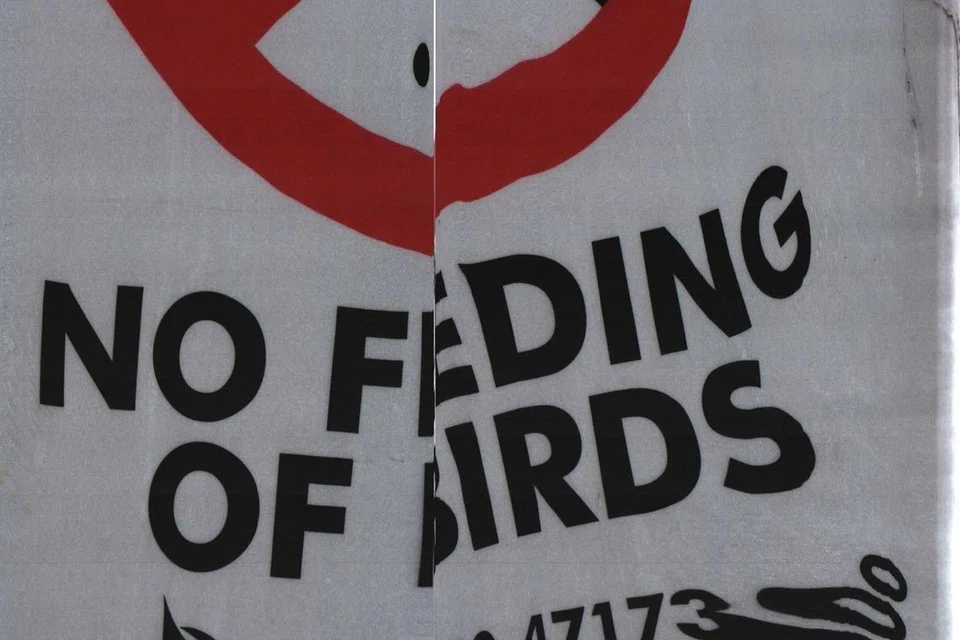 Papan tanda ‘Dilarang beri makan kepada burung’