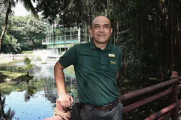 BANTU SENGGARA TAMAN: Sebagai penolong pengurus dalam jabatan pengurusan kemudahan Taman Burung Jurong, Encik Roslee Mustaffa menyelia sekumpulan lima kakitangan yang bertanggungjawab melakukan kerja pembaikan, pertukangan dan elektrik, demi memastikan taman itu beroperasi dengan baik.