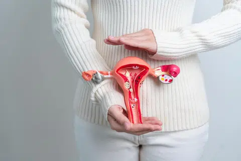 Beginilah contoh keadaan dalaman organ uterus dan ovari wanita.