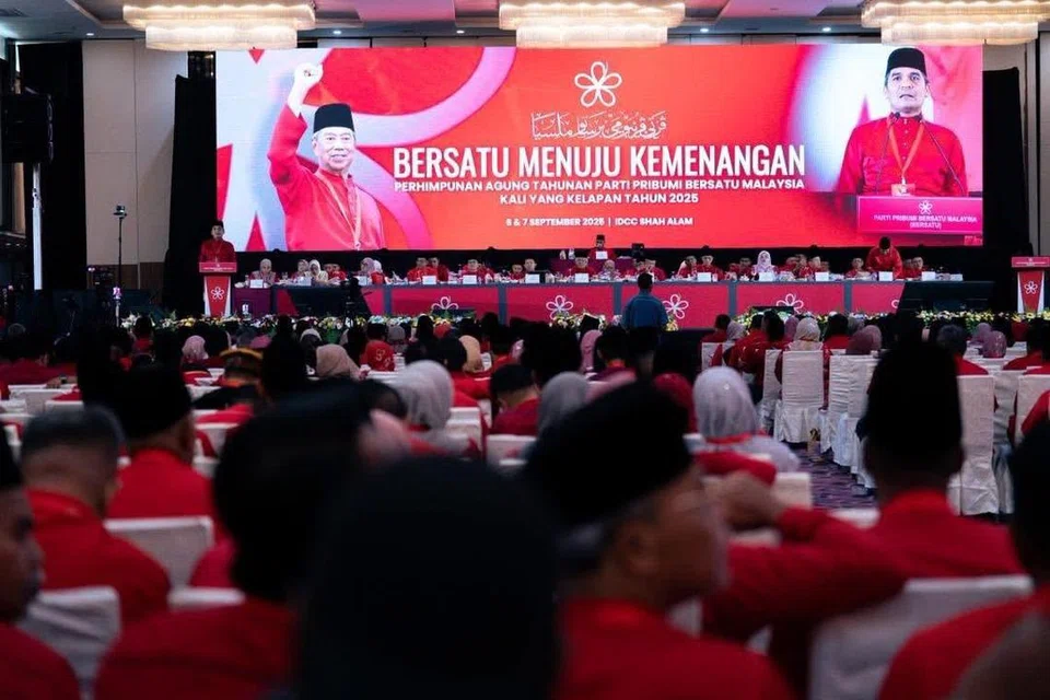 Malaysia, Parti Pribumi Bersatu Malaysia, Bersatu, Muhyiddin Yassin, Hamzah Zainudin