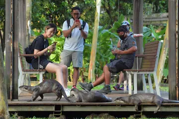 HIDUP BERSAMA: Sekumpulan memerang dilihat sedang berehat di samping orang ramai di Penyambung Taman Alexandra. 
