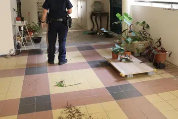 LEMPAR PASU BUNGA: Gambaran di tingkat lapan Blok 415 Sembawang Drive menunjukkan tanah bertaburan dari pasu bunga yang pecah di laluan pejalan kaki dan tangga.