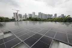 Pemerintah akan menyokong warga Singapura dalam menimba kemahiran hijau, dan memperbaiki akses mereka kepada peluang pekerjaan hijau. - 