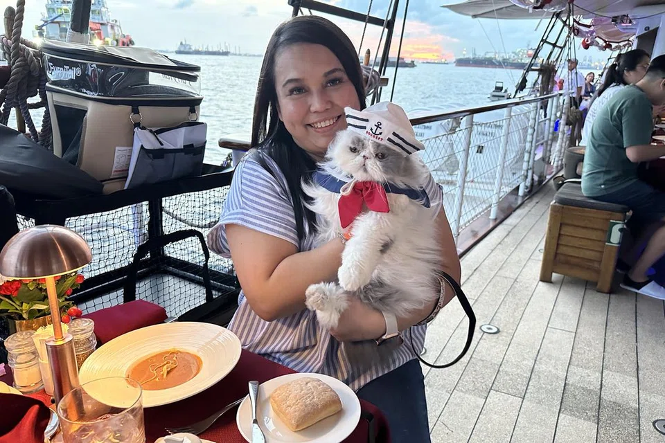 KUCING DIAJAK BELAYAR: Pemilik kucing, Cik Razi Belle, dan kucingnya, Louie, menikmati ‘Cruise Kucing’ di Royal Albatross selama dua jam setengah sepanjang pantai Sentosa dan sekitar Pulau Selatan. 