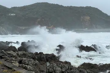 Angin kencang melanda Teluk Lyall di Wellington, New Zealand pada 1 Mei 2025.