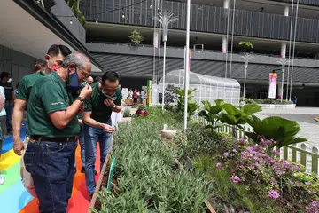 NIKMATI HARUM HERBA: Para penasihat akar umbi GRC Tampines - (dari kiri) Encik Masagos Zulkifli Masagos Mohamad, Encik Baey Yam Keng dan Dr Koh Poh Koon - sama-sama menikmati haruman herba dan keindahan tumbuhan berwarna-warni di Kebun Terapeutik Kita di Our Tampines Hub yang dilancarkan semalam.- FOTO BM oleh TIMOTHY DAVID