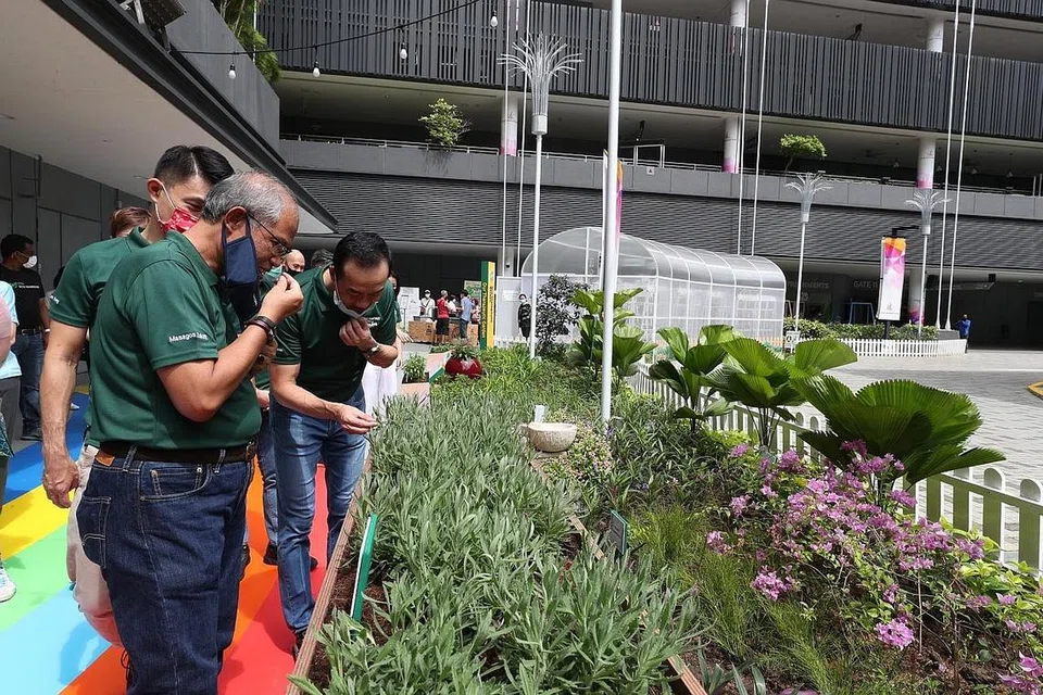 NIKMATI HARUM HERBA: Para penasihat akar umbi GRC Tampines - (dari kiri) Encik Masagos Zulkifli Masagos Mohamad, Encik Baey Yam Keng dan Dr Koh Poh Koon - sama-sama menikmati haruman herba dan keindahan tumbuhan berwarna-warni di Kebun Terapeutik Kita di Our Tampines Hub yang dilancarkan semalam.- FOTO BM oleh TIMOTHY DAVID