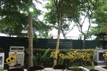MAKIN BANYAK: Menurut Encik Francis Ng, ketua eksekutif House of Seafood, beliau melihat lebih banyak monyet di luar restorannya itu sepanjang lima tahun lalu.