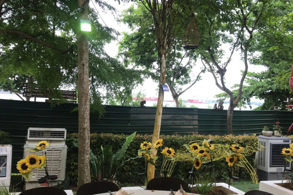 MAKIN BANYAK: Menurut Encik Francis Ng, ketua eksekutif House of Seafood, beliau melihat lebih banyak monyet di luar restorannya itu sepanjang lima tahun lalu.