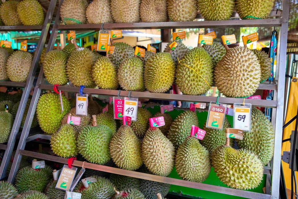 Penumpang boleh mendapatkan akses eksklusif ke bufet durian di Pelabuhan Klang.