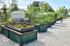 Nparks, tapak berkebun, gardening in singapore, bukit canberra 