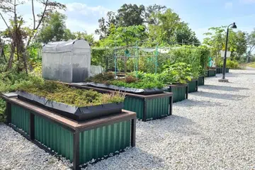 Nparks, tapak berkebun, gardening in singapore, bukit canberra 