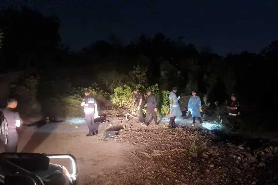 Polis menembak mati tiga penjenayah warga asing yang dikategorikan sebagai ganas dan berbahaya di Desa Vista, Sepang, Selangor pada awal pagi 14 Mac. 