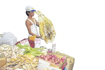 Ikan kurau kering