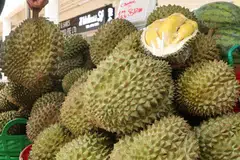 durian, bahasa melayu, peribahasa