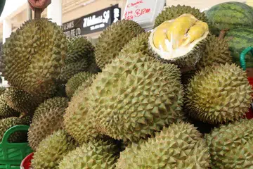 durian, bahasa melayu, peribahasa