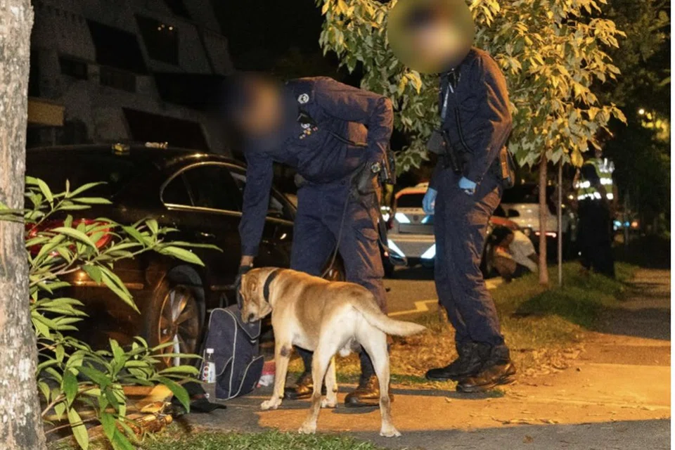 Unit K9 polis menjalankan pemeriksaan semasa serbuan penguatkuasaan pada 8 November 2024. 