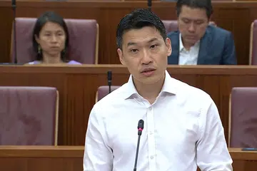 38 Oxley Road, Parlimen, David Neo, Kenyataan Menteri  